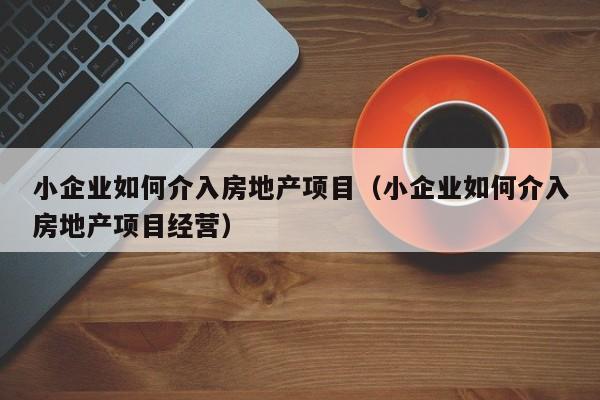 小企业如何介入房地产项目（小企业如何介入房地产项目经营）